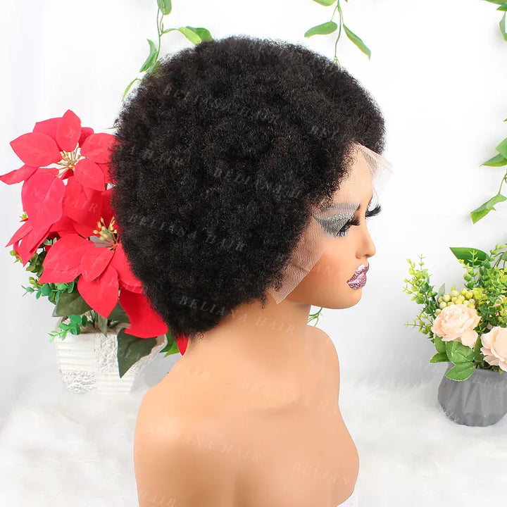 #1B 13x4 Wear Go Lace Front Afro Short Curly Wig