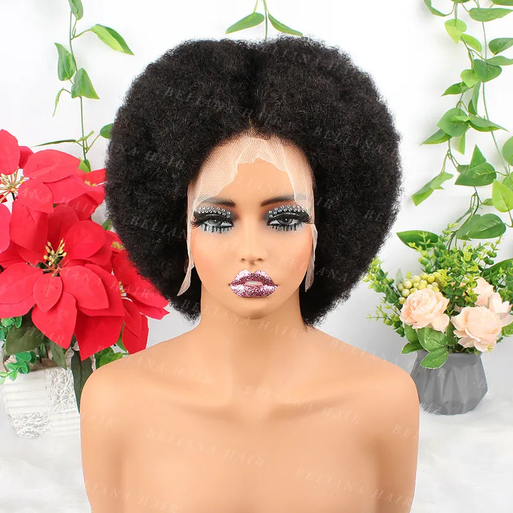 #1B 13x4 Wear Go Lace Front Afro Short Curly Wig