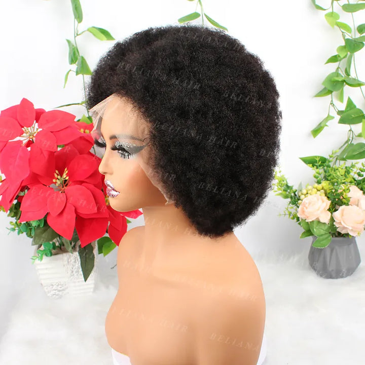 #1B 13x4 Wear Go Lace Front Afro Short Curly Wig