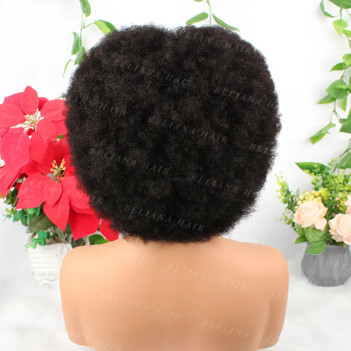 #1B 13x4 Wear Go Lace Front Afro Short Curly Wig