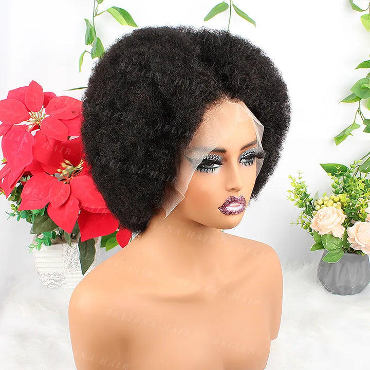 #1B 13x4 Wear Go Lace Front Afro Short Curly Wig