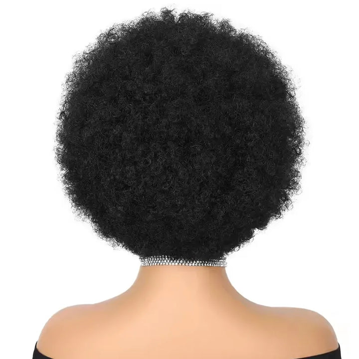 13x4 Wear Go Lace Front Braided Afro Short Curly Wig