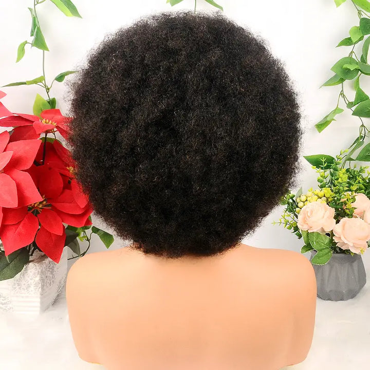 13x4 Wear Go Lace Front Braided Afro Short Curly Wig