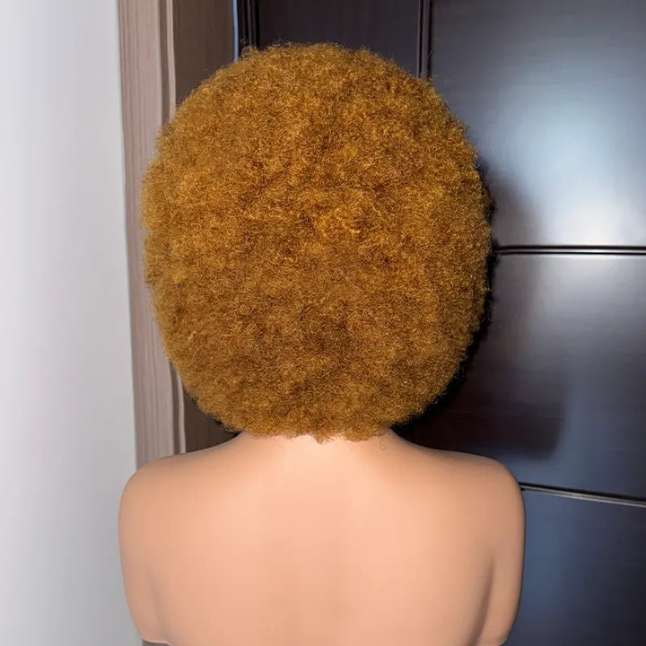 13x4 Wear & Go Cornrow Braided Lace Front Wig with Afro Puff Curls