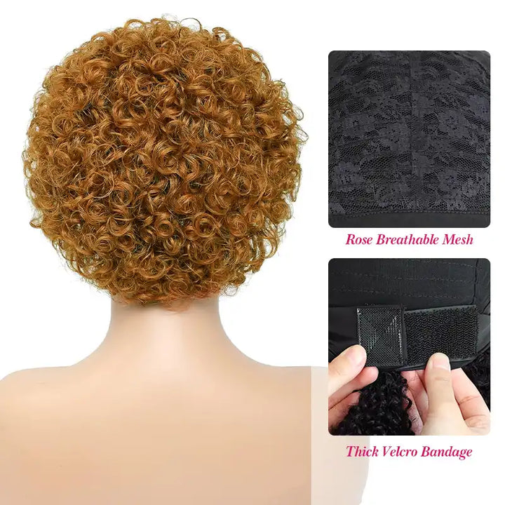 $89 = 2 Wigs | Chocolate Brown Spiral Curly 13x4 Lace Wig & Pixie Short Curly Headband Wig