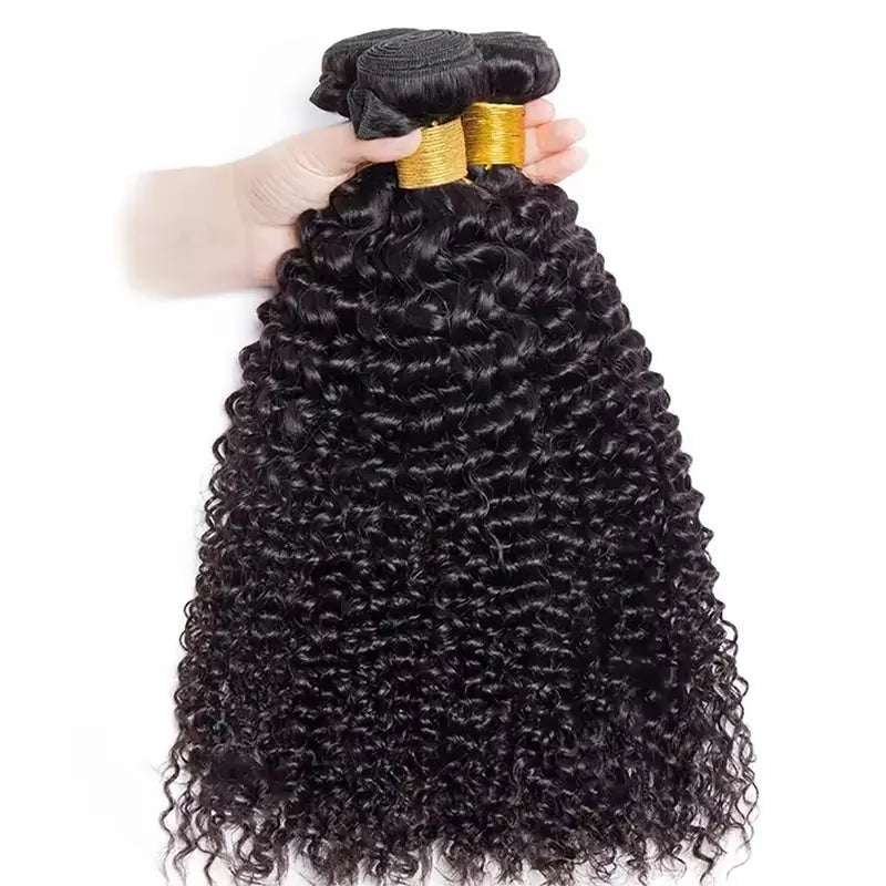 Jerry Curly 4 Bundles with 4x4 Transparent Lace Closure Human Hair Ext ...