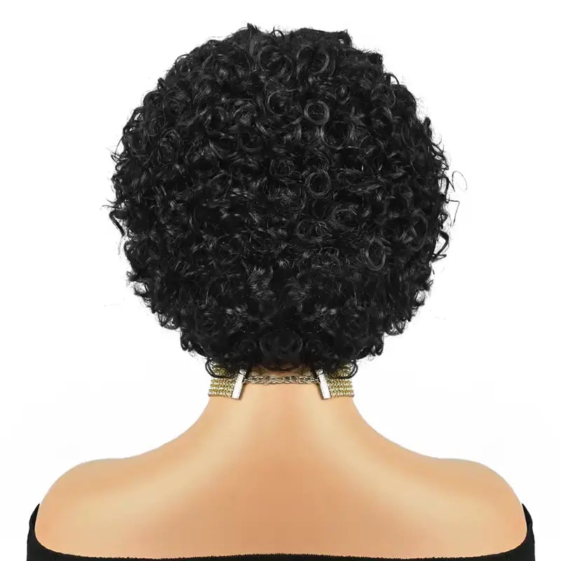 Pixie Cut Short Curly Human Hair 13x1 lace Glueless Wigs