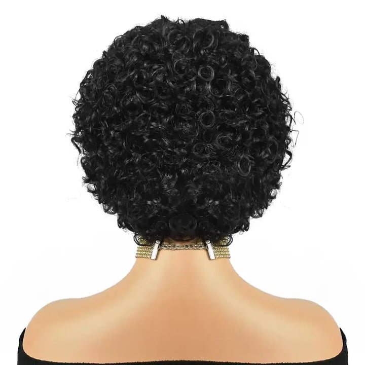 Pixie Cut Short Curly Human Hair 13x1 lace Glueless Wigs